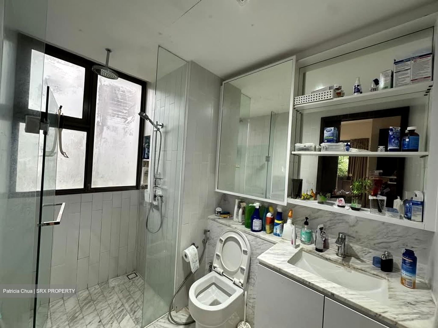 The Inflora (D17), Condominium #569558271